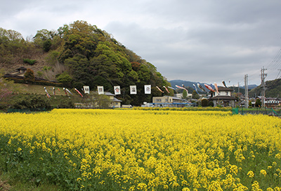 この上ないクリーンな環境の立地